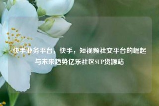 快手业务平台，快手，短视频社交平台的崛起与未来趋势亿乐社区SUP货源站