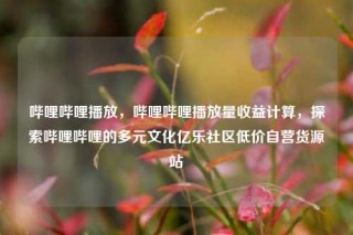 哔哩哔哩播放，哔哩哔哩播放量收益计算，探索哔哩哔哩的多元文化亿乐社区低价自营货源站