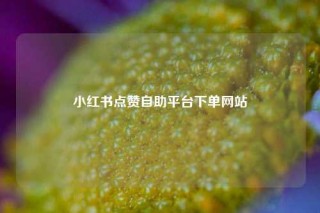 小红书点赞自助平台下单网站