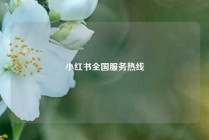 小红书全国服务热线