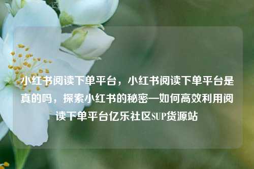 小红书阅读下单平台，小红书阅读下单平台是真的吗	，探索小红书的秘密—如何高效利用阅读下单平台亿乐社区SUP货源站  第1张