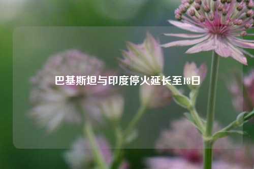 巴基斯坦与印度停火延长至18日  第1张