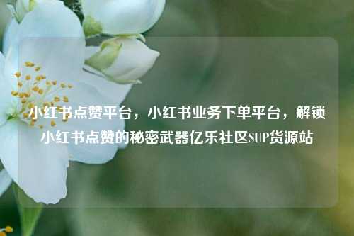 小红书点赞平台，小红书业务下单平台	，解锁小红书点赞的秘密武器亿乐社区SUP货源站  第1张