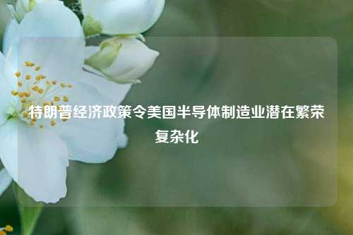 特朗普经济政策令美国半导体制造业潜在繁荣复杂化  第1张
