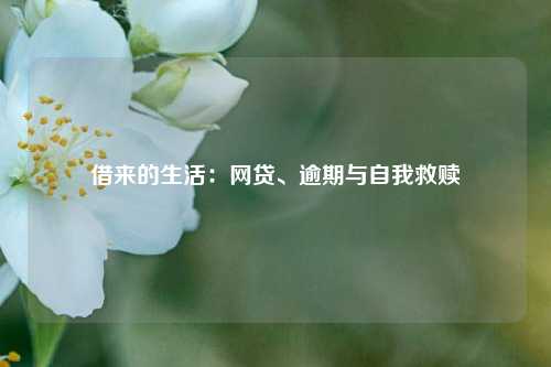 借来的生活：网贷、逾期与自我救赎  第1张