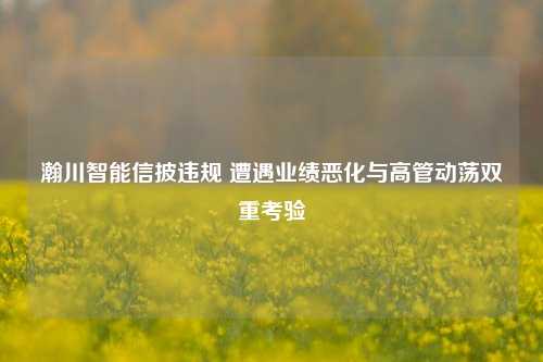 瀚川智能信披违规 遭遇业绩恶化与高管动荡双重考验  第1张