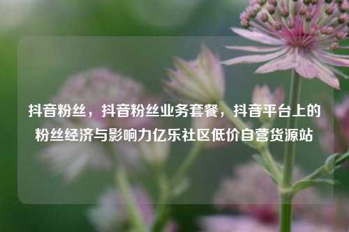 抖音粉丝	，抖音粉丝业务套餐，抖音平台上的粉丝经济与影响力亿乐社区低价自营货源站  第1张