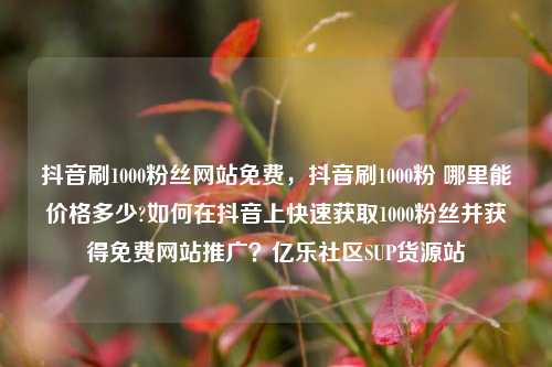 抖音刷1000粉丝网站免费，抖音刷1000粉 哪里能价格多少?如何在抖音上快速获取1000粉丝并获得免费网站推广？亿乐社区SUP货源站  第1张