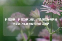 抖音涨粉，抖音涨粉攻略，打造爆款账号的秘密武器亿乐社区低价自营货源站