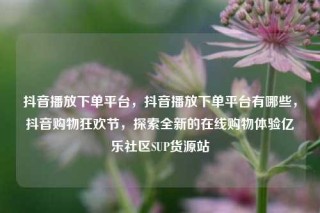 抖音播放下单平台，抖音播放下单平台有哪些，抖音购物狂欢节，探索全新的在线购物体验亿乐社区SUP货源站