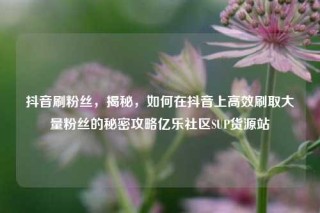 抖音刷粉丝，揭秘，如何在抖音上高效刷取大量粉丝的秘密攻略亿乐社区SUP货源站