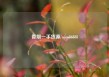 香烟一手货源/opm86888