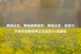两碗社区，两碗镇两碗村，两碗社区，连接与共享的邻里纽带亿乐社区SUP货源站
