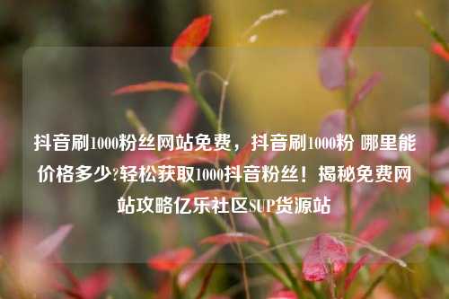 抖音刷1000粉丝网站免费，抖音刷1000粉 哪里能价格多少?轻松获取1000抖音粉丝！揭秘免费网站攻略亿乐社区SUP货源站  第1张