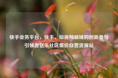 快手业务平台	，快手，短视频领域的创新者与引领者亿乐社区低价自营货源站  第1张