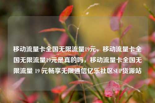 移动流量卡全国无限流量19元，移动流量卡全国无限流量19元是真的吗，移动流量卡全国无限流量 19 元畅享无限通信亿乐社区SUP货源站  第1张