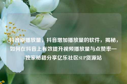 抖音刷播放量，抖音增加播放量的软件，揭秘	，如何在抖音上有效提升视频播放量与点赞率—独家秘籍分享亿乐社区SUP货源站  第1张